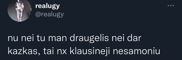 RealZinguss Profile Banner