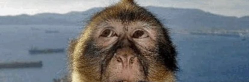 colman_will's profile banner image