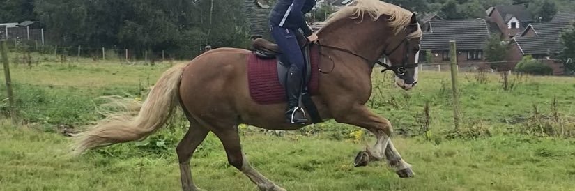 GingerEquestrian🧡🇬🇧 banner