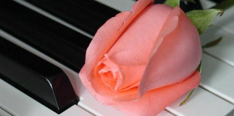 mahdiallami's profile banner image