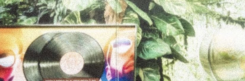 zeliesayt's profile banner image