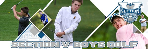 SectionVBGolf Profile Banner