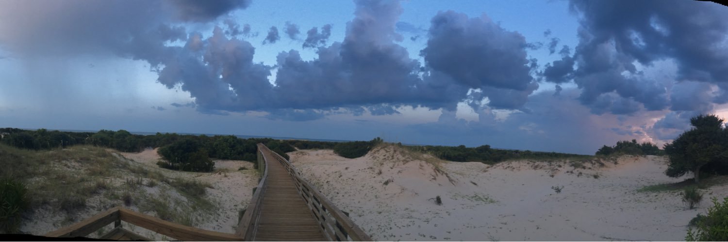 Michael Lachowski banner