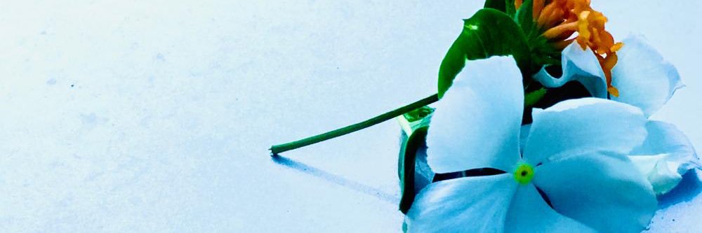 erlo2Ayo's profile banner image