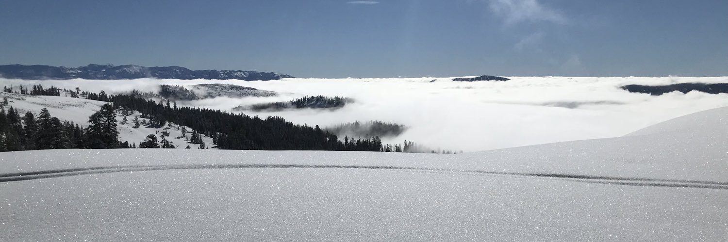 Alan Gutman-Wei banner