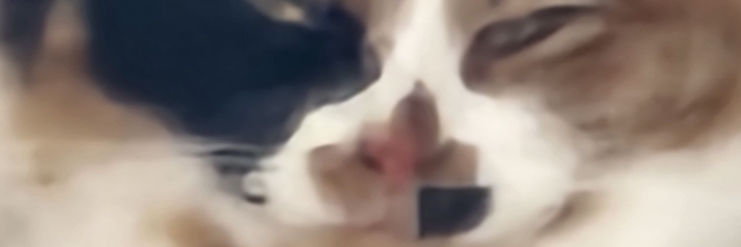 George O'Callaghan banner