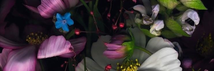 _ChavaChocolatl's profile banner image