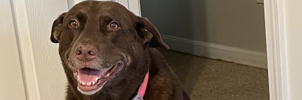 SokolCorey Profile Banner