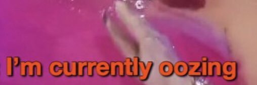 PUSSYSNORT's profile banner image