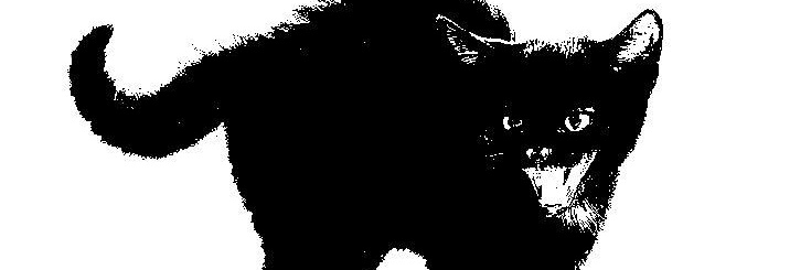 Rafa3l4__'s profile banner image