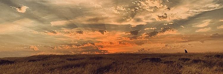 travisfredd's profile banner image