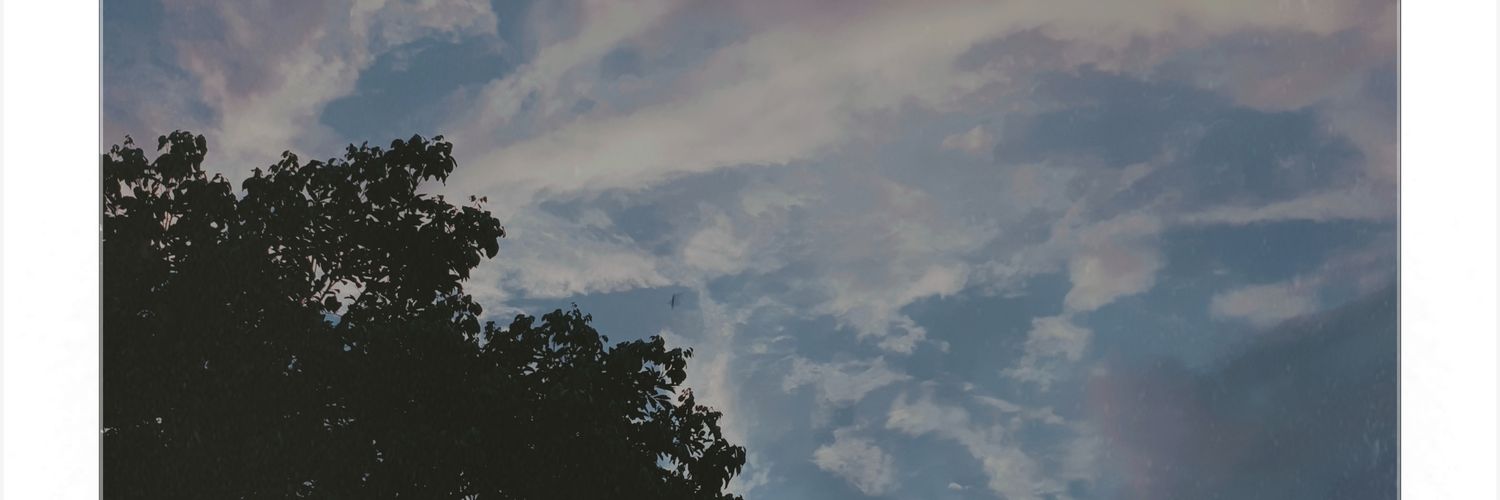 nnisaysmin's profile banner image