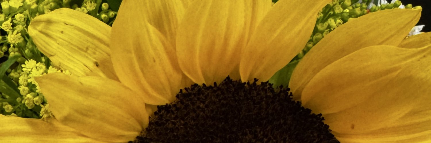 Lindardlr's profile banner image