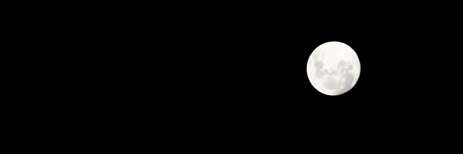 silvinacrespo's profile banner image