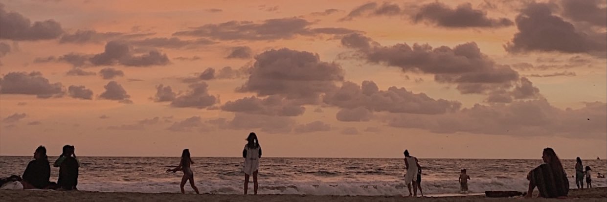 sophiasmtz's profile banner image