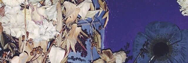 351V's profile banner image