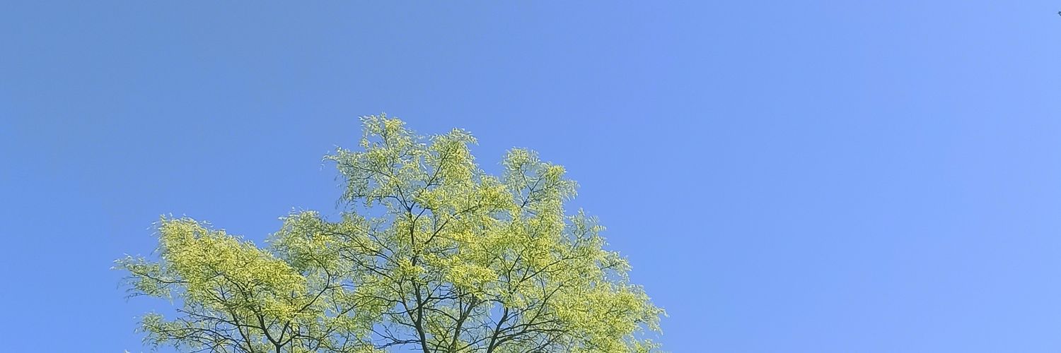 PennyWarnock's profile banner image
