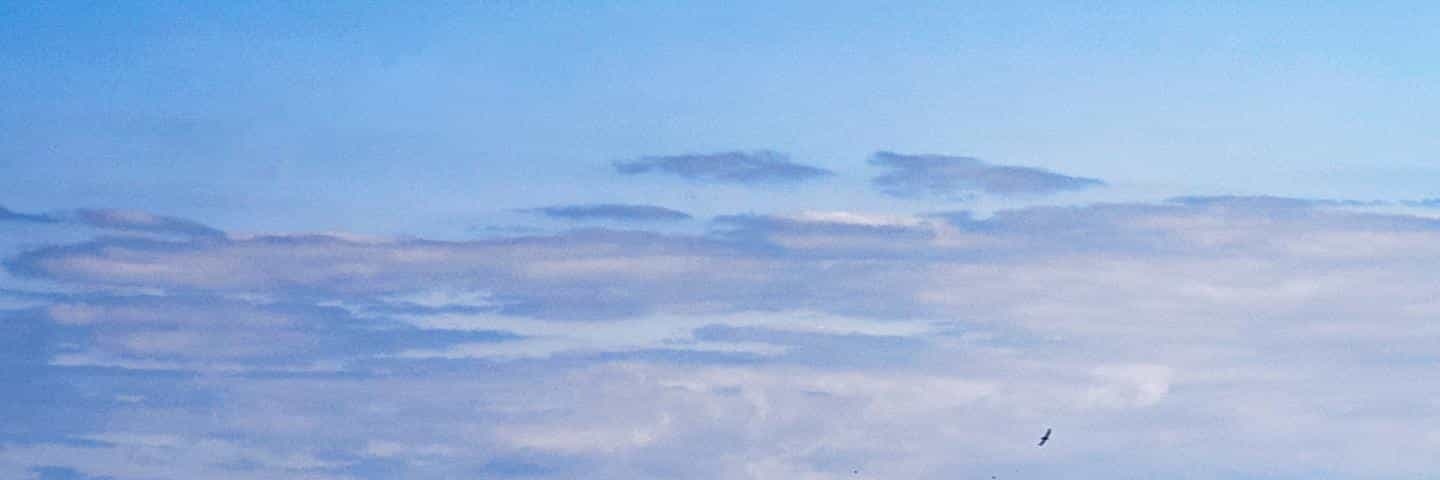 md_04's profile banner image