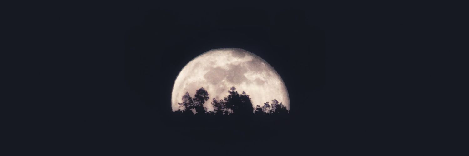 charlesdomm's profile banner image
