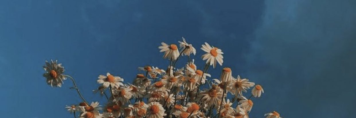 flowerinpot's profile banner image