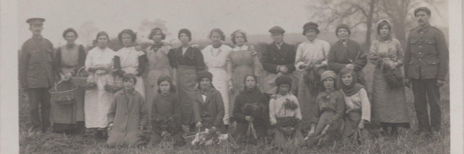 ShellyAncestry banner