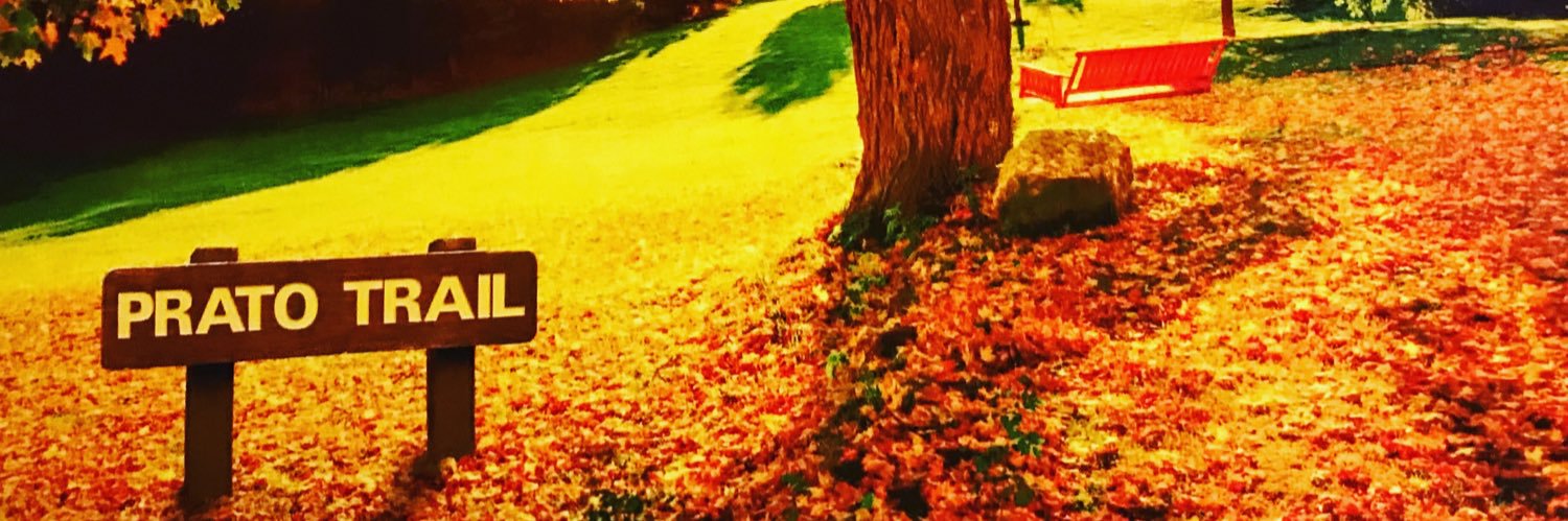 pratojalejandro's profile banner image