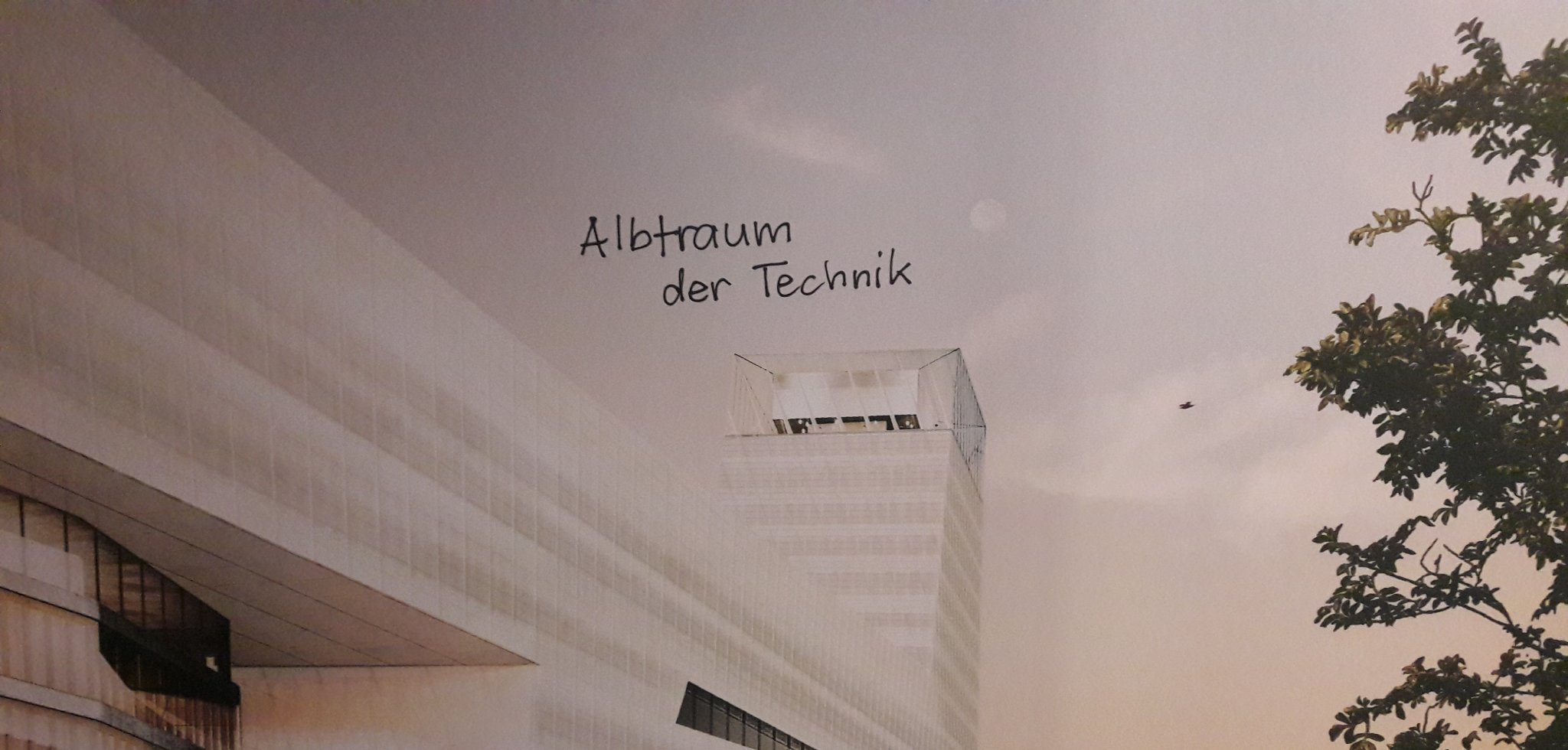 Veit Braun's banner