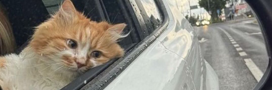 cnnssoz's profile banner image