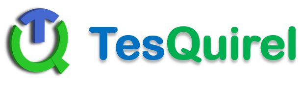 TesQuirel Solutions banner