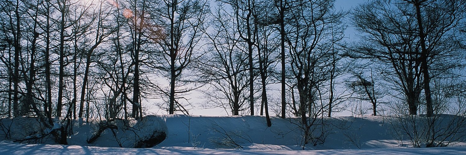 zil_252's profile banner image