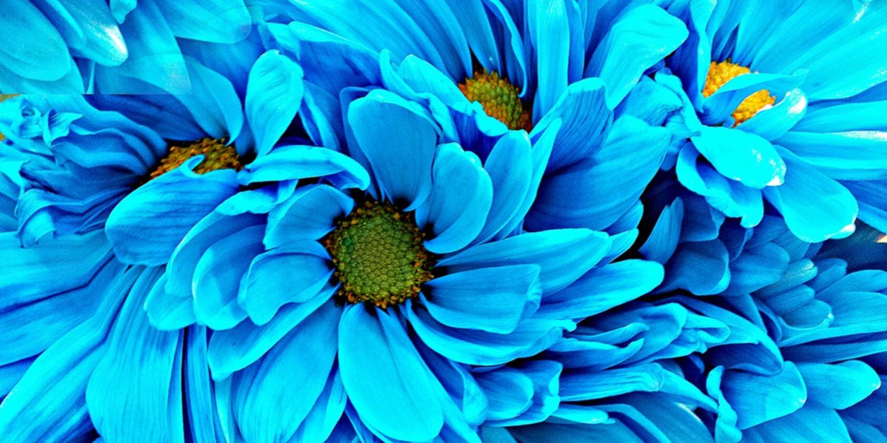 kat_from_az's profile banner image