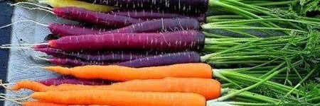 ChefTropepe's profile banner image