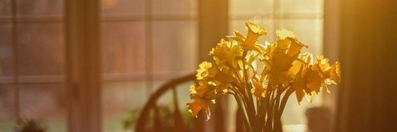 ttebmy's profile banner image