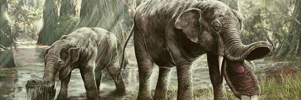 manojrpatil Profile Banner