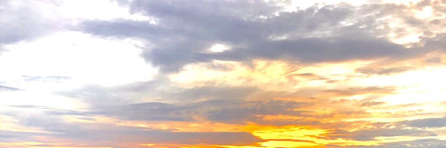 jessdartt's profile banner image