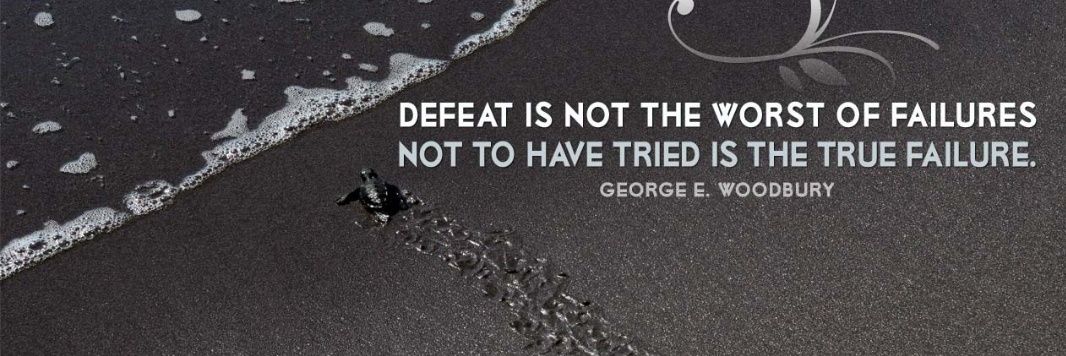 Dr. Tee Bunch-Boney banner