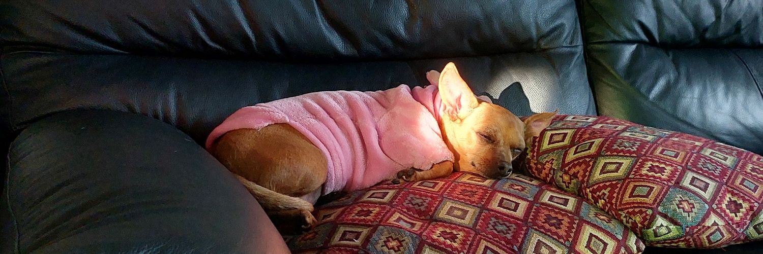 Julio César RaAv banner