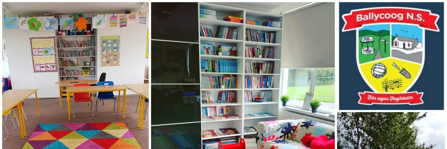 Ballycoog National School banner