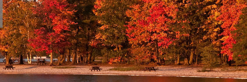 Twittarupp's profile banner image