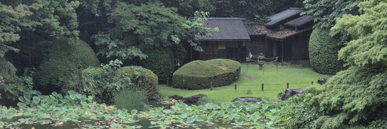 TokyoZeplin's profile banner image