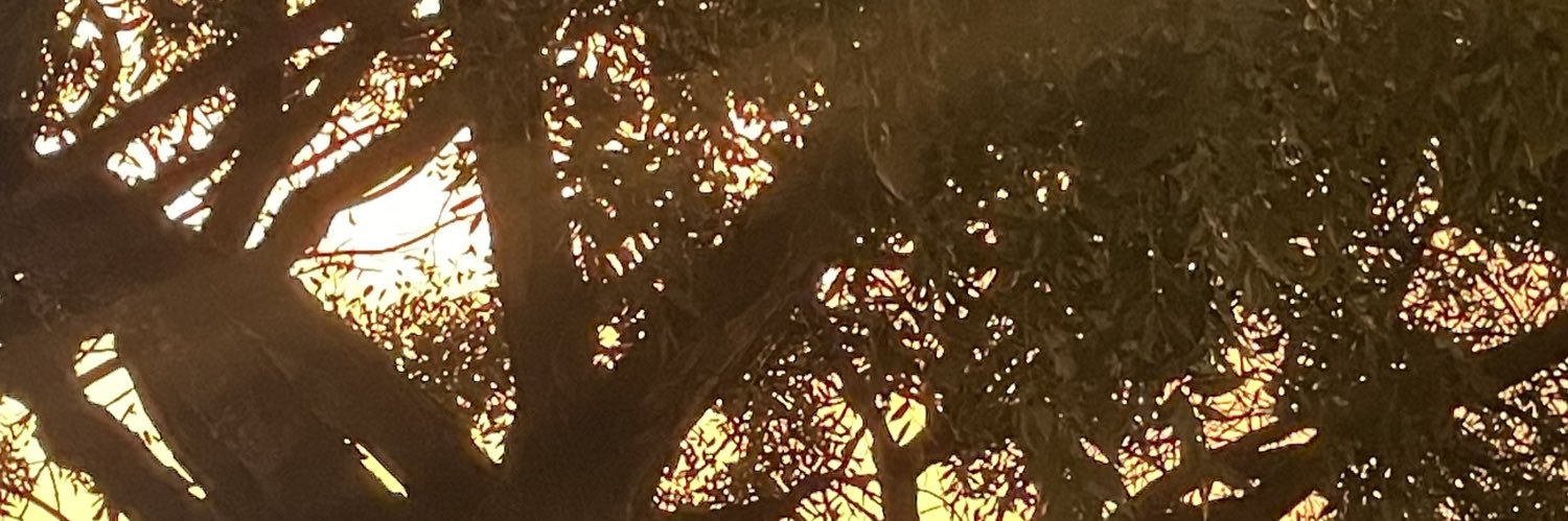NesTaVane's profile banner image
