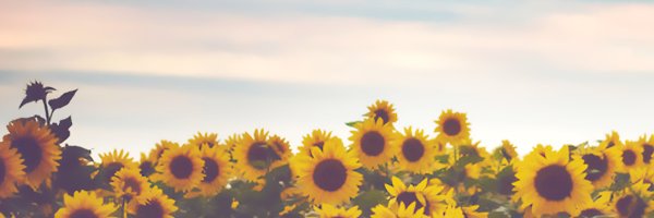 nkhaliunaa's profile banner image
