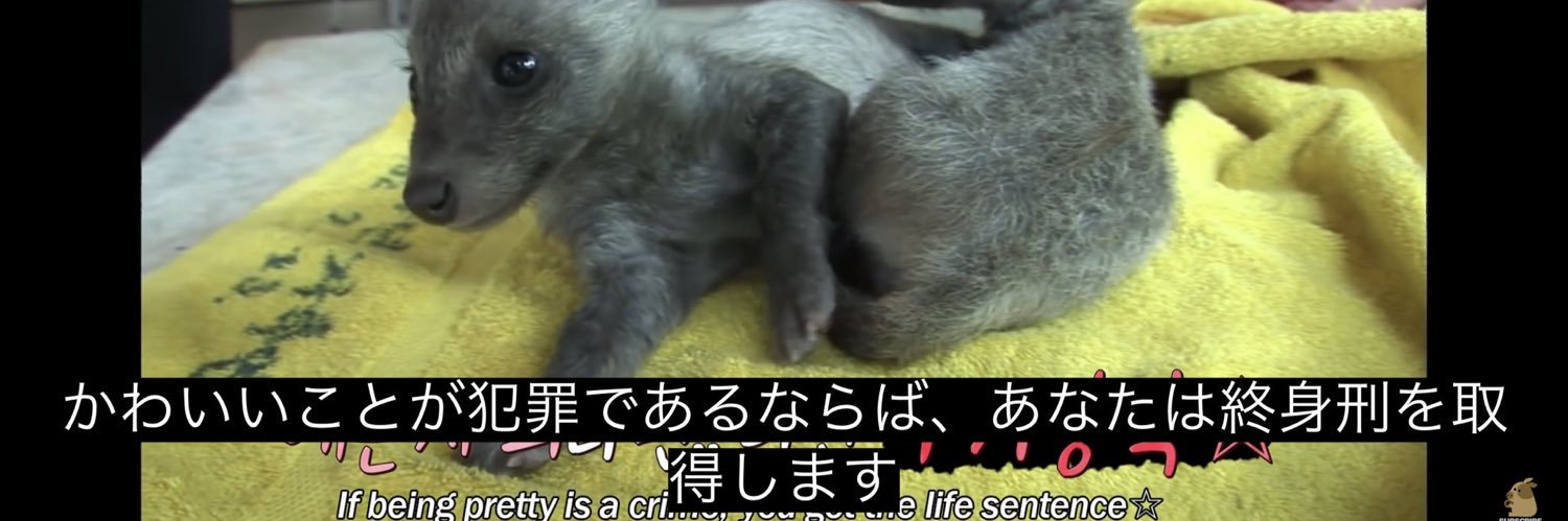 めし / Meshi banner