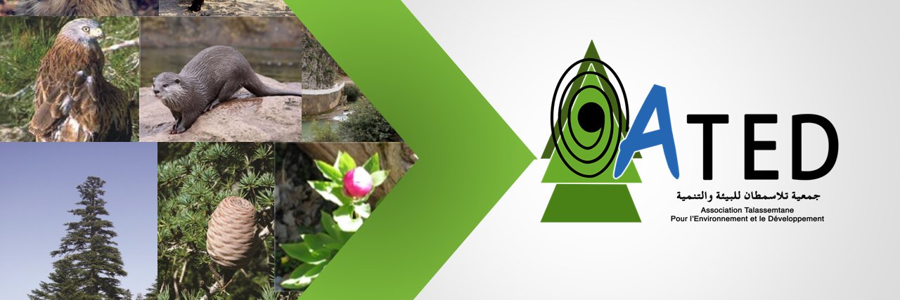 Association Talassemtane (ATED) banner