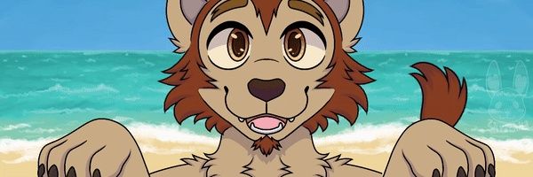 Don 🇵🇷 🔜 AC banner