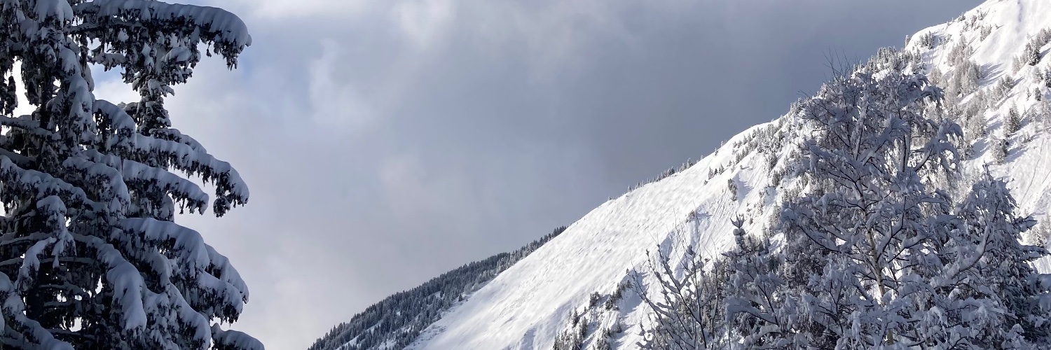 l3n59's profile banner image