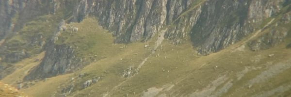 chya04 Profile Banner