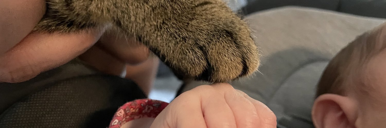 𝐼𝑙𝑦🥥 banner