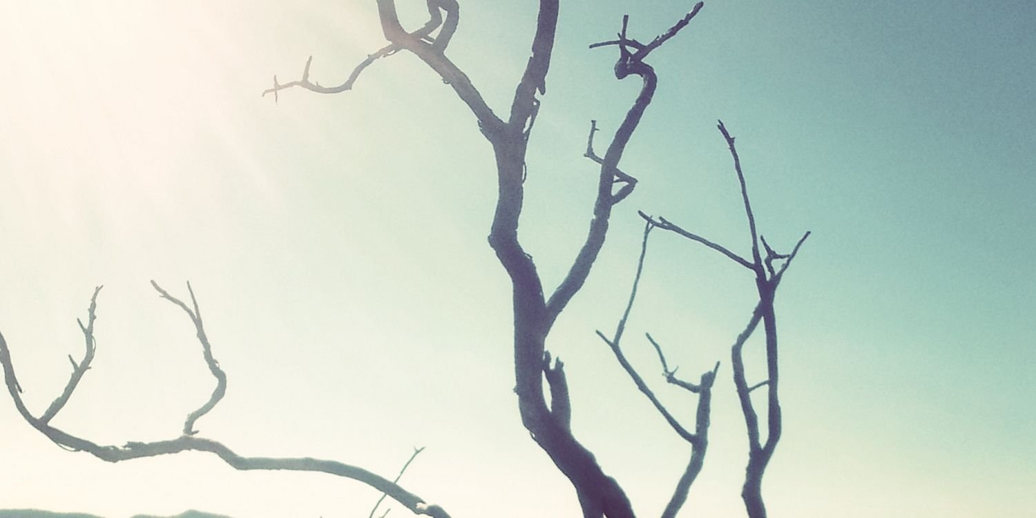 diego_barile's profile banner image