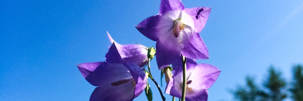 eden2535's profile banner image